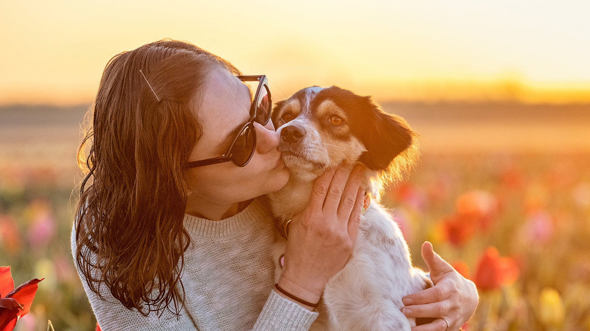 Jamie and Eevee - Fetch Love