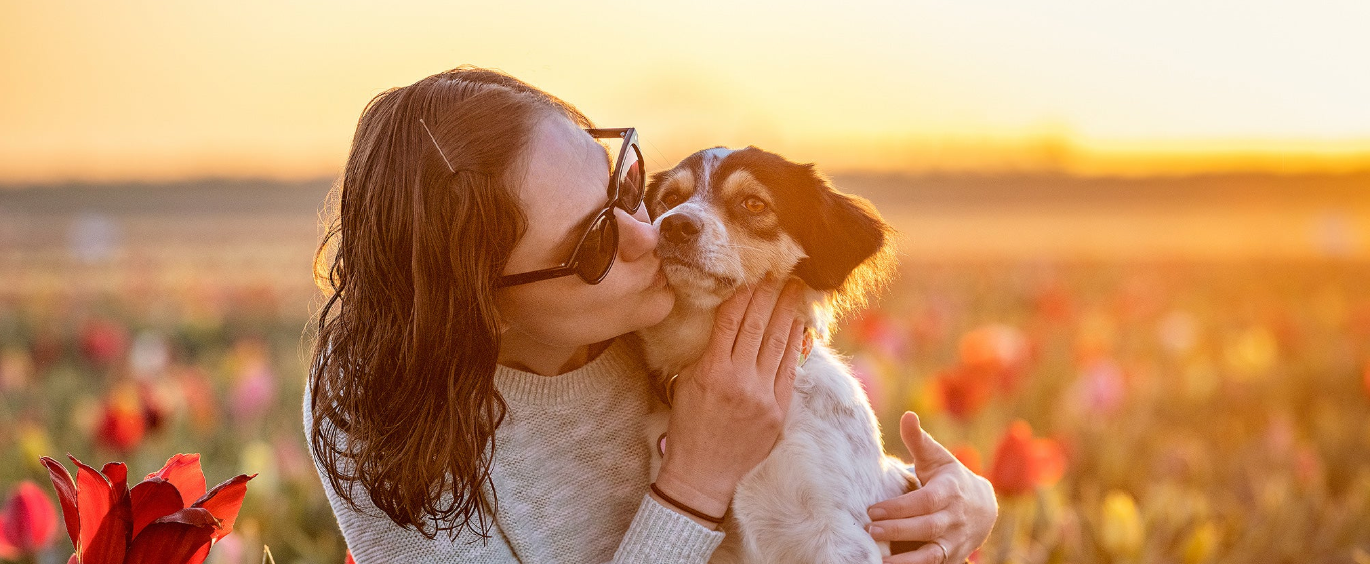 Jamie and Eevee - Fetch Love